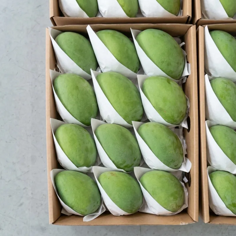 Ripening programme