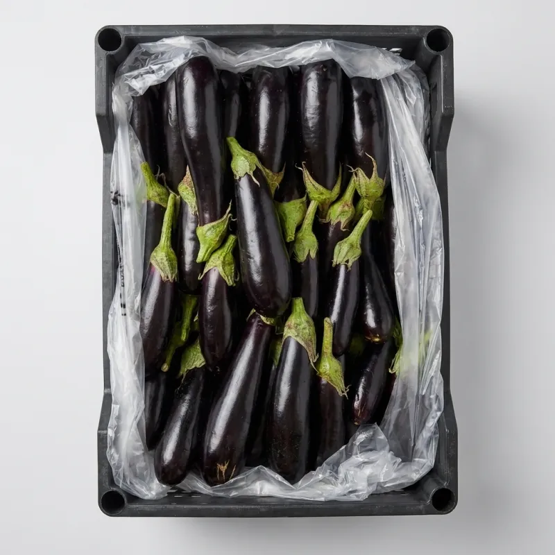 Aubergines violettes fraîches