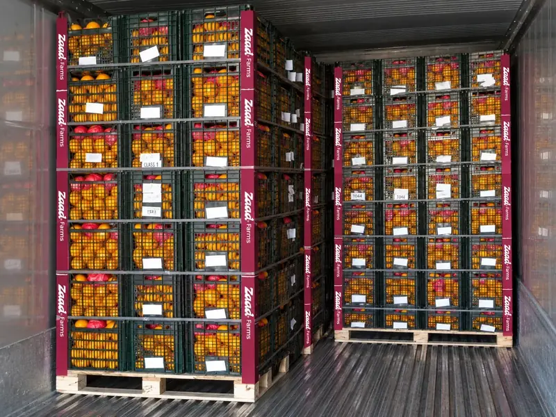 Pallet programmes