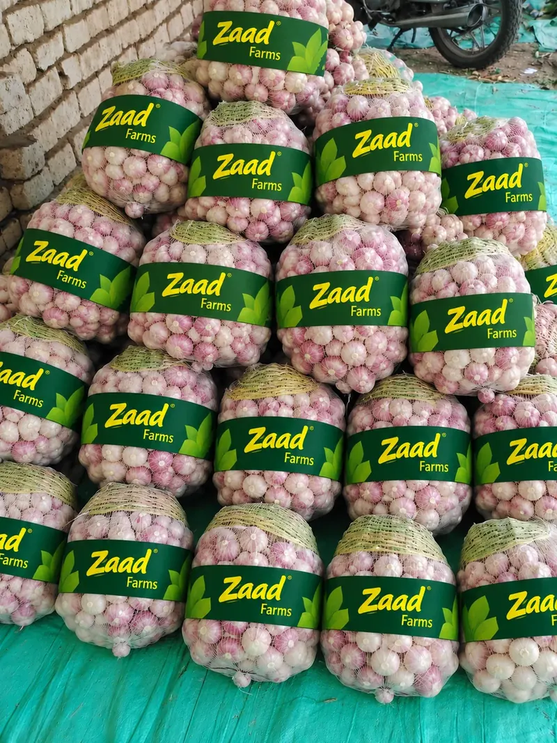 Garlic in Zaad printed mesh bags