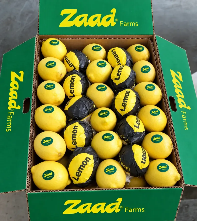 Lemons packed for export