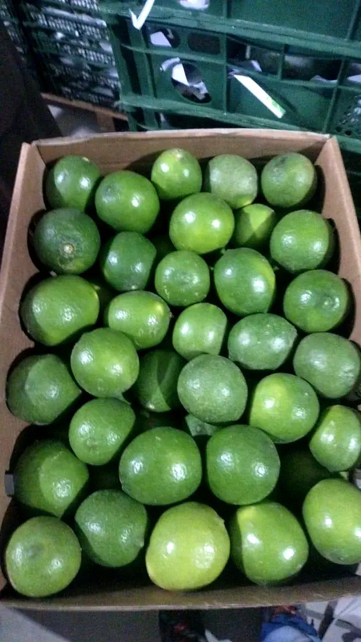 عبوات تجزئة