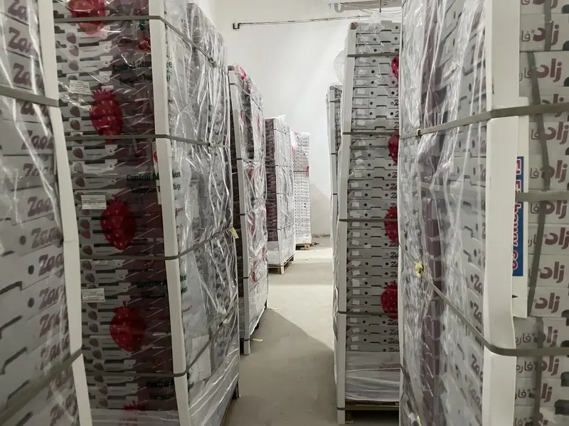 Cajas máster paletizadas