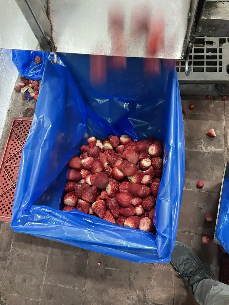 Processing lines