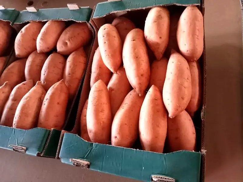 3–5 kg cartons