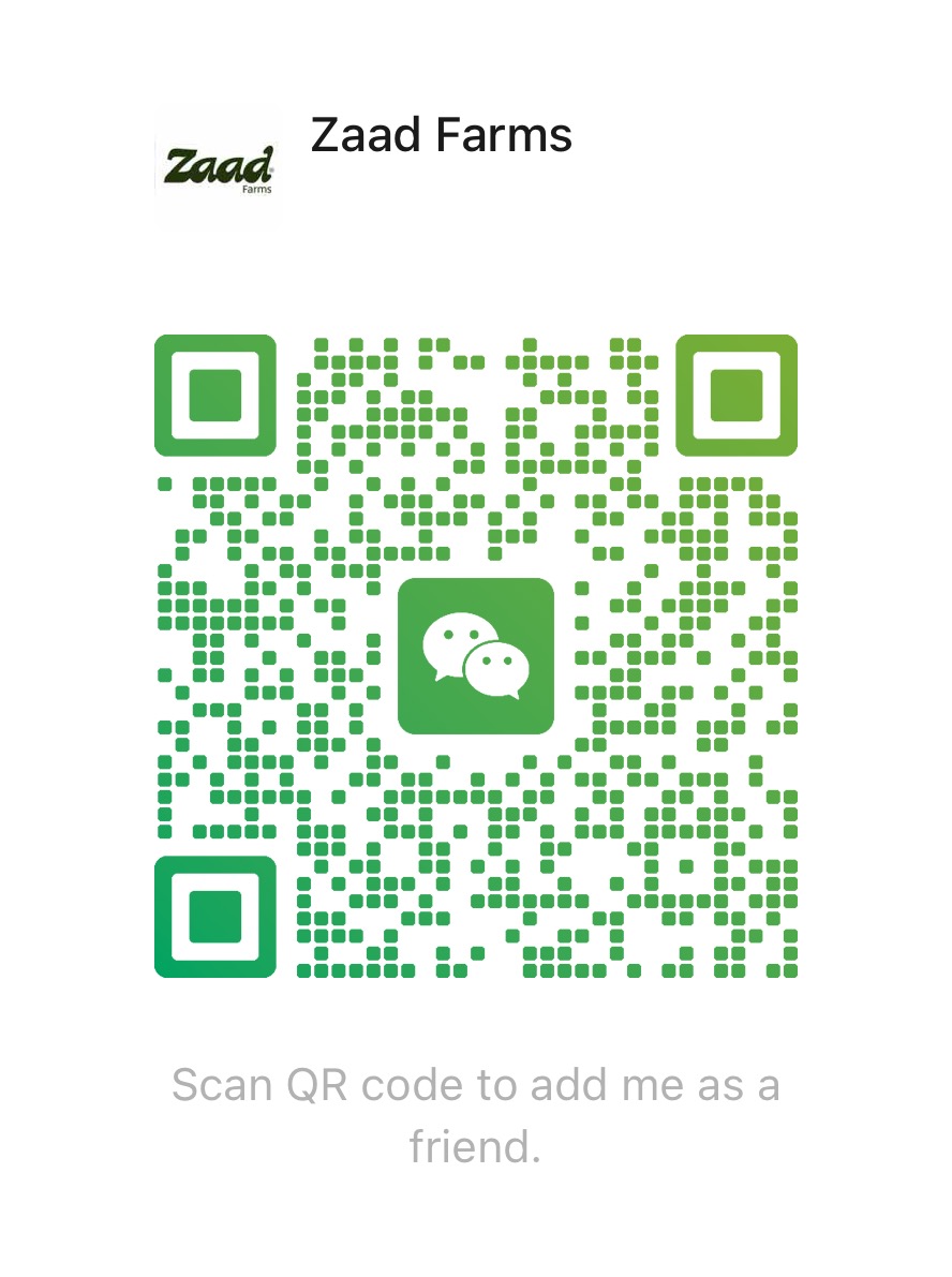 WeChat QR